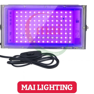 UV Flood Light