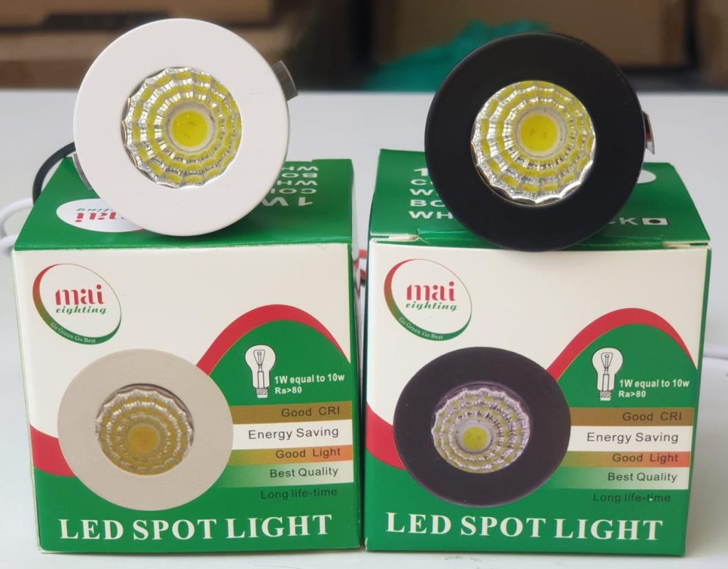1W LED Spot Light